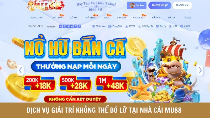 Dịch vụ giải trí không thể bỏ lỡ