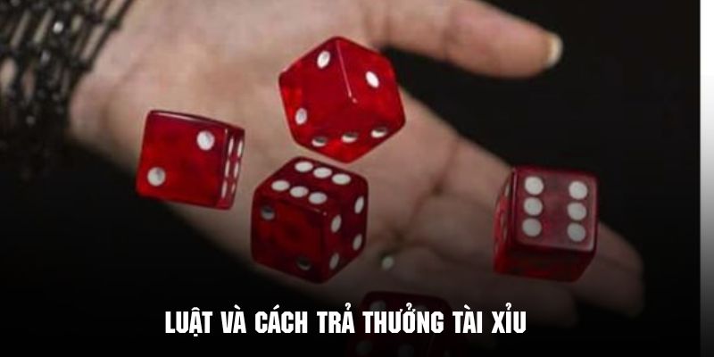 Chi tiết các thông tin về luật chơi và cách trả thưởng game tài xỉu