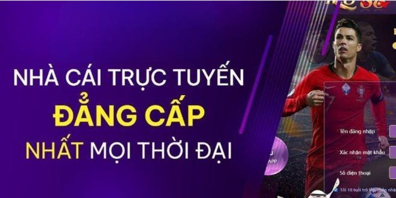 Thành tích của CEO nhà cái trong xây dựng thương hiệu