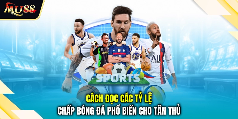 Cách đọc các tỷ lệ chấp bóng đá phổ biến cho tân thủ